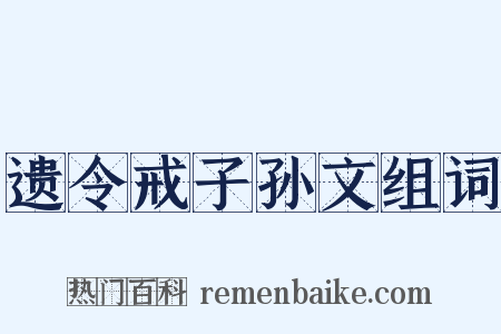 遗令戒子孙文组词是什么意思的图片